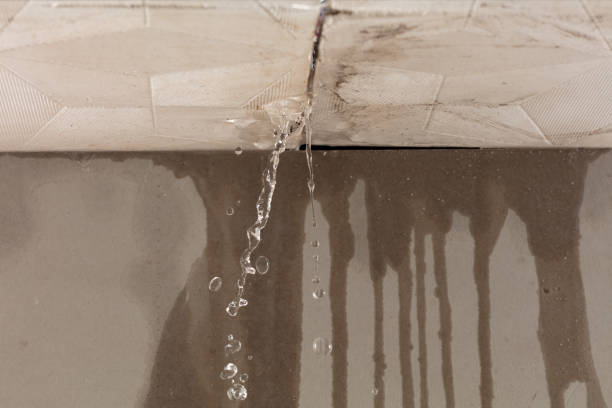Professional Water Damage Restoration technician working in Morton, IL